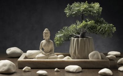 La importancia del equilibrio energético en la salud emocional